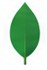MongoDB